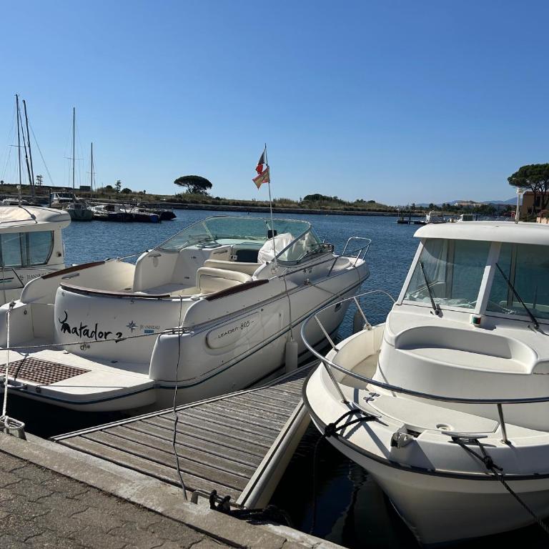 Saint Cyprien - T2 RDC 4P avec piscine, proche plage et port, parking privé, animaux admis - FR-1-793-7 - Appartamento - 15