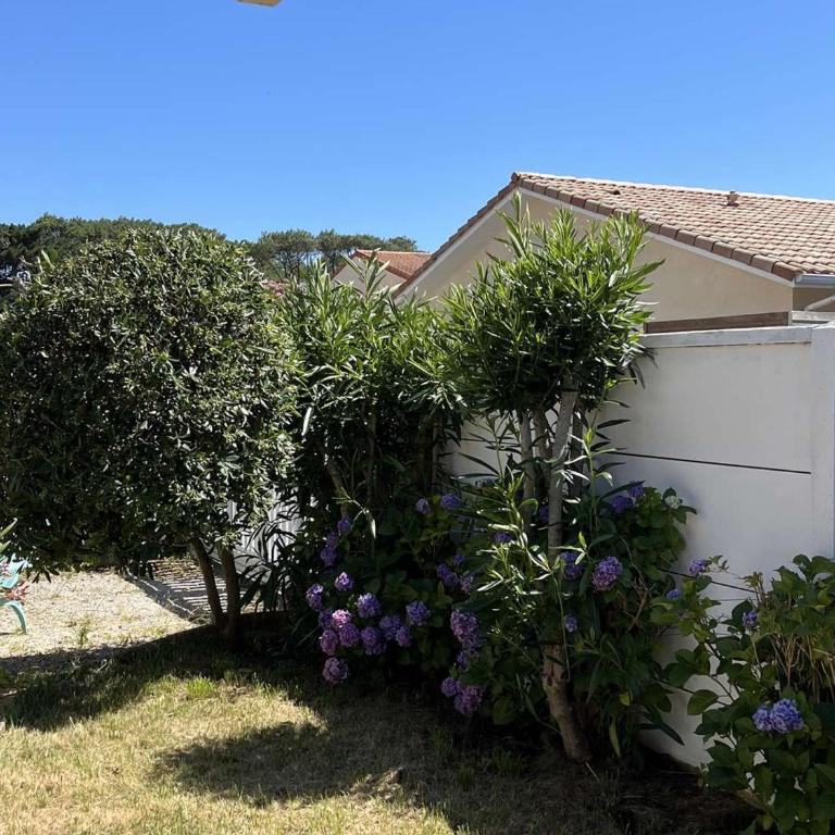 Villa ensoleillée avec terrasse près de la plage - FR-1-831-11 - Villa - 13