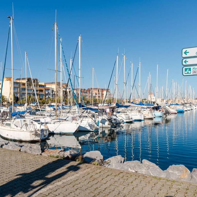 Studio cabine avec terrasse, animaux admis, pour 4 personnes - FR-1-409A-33 - Monolocale - 12