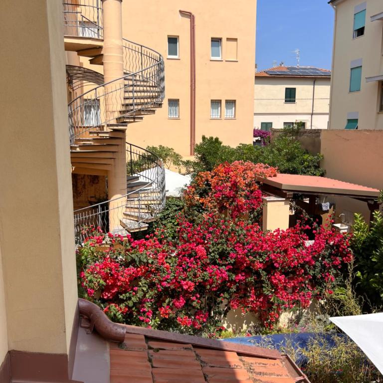 B&B Viale Italia 22 - Camera Singola con Bagno Privato - 1