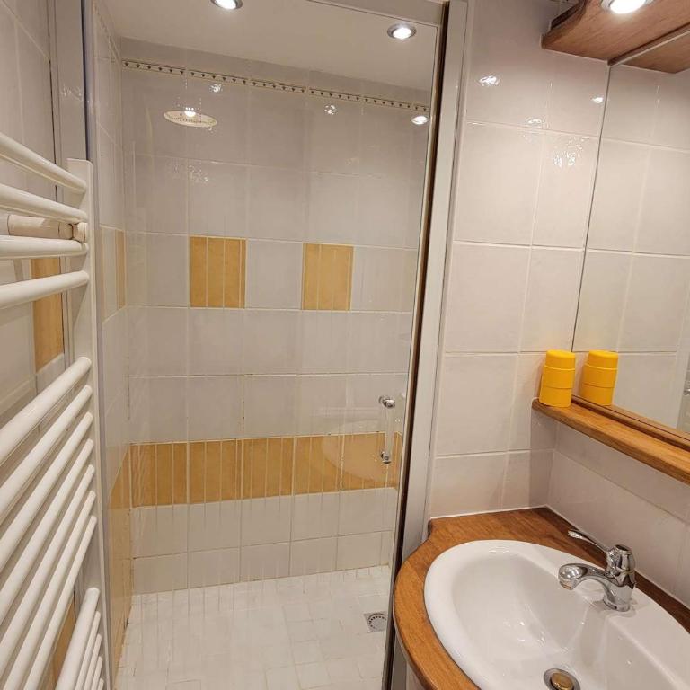 Appartement lumineux 6 pers, animaux admis, balcon sud, pieds des pistes - FR-1-393-181 - Appartamento - 3