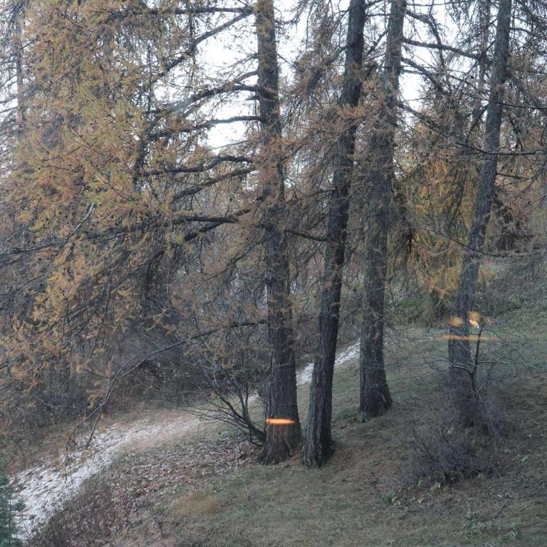 Studio confortable à Les Orres, accès direct aux pistes, WiFi et parking privé - FR-1-322-680 - Monolocale - 5