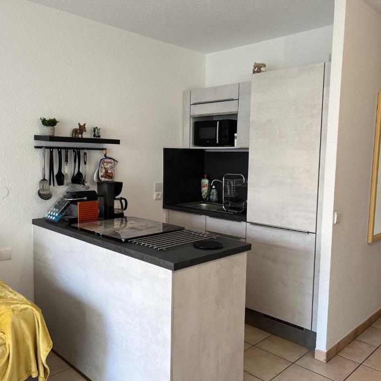 Studio Climatisé 2/3 P. Proche Plage et Commerces - FR-1-466A-55 - Monolocale - 4