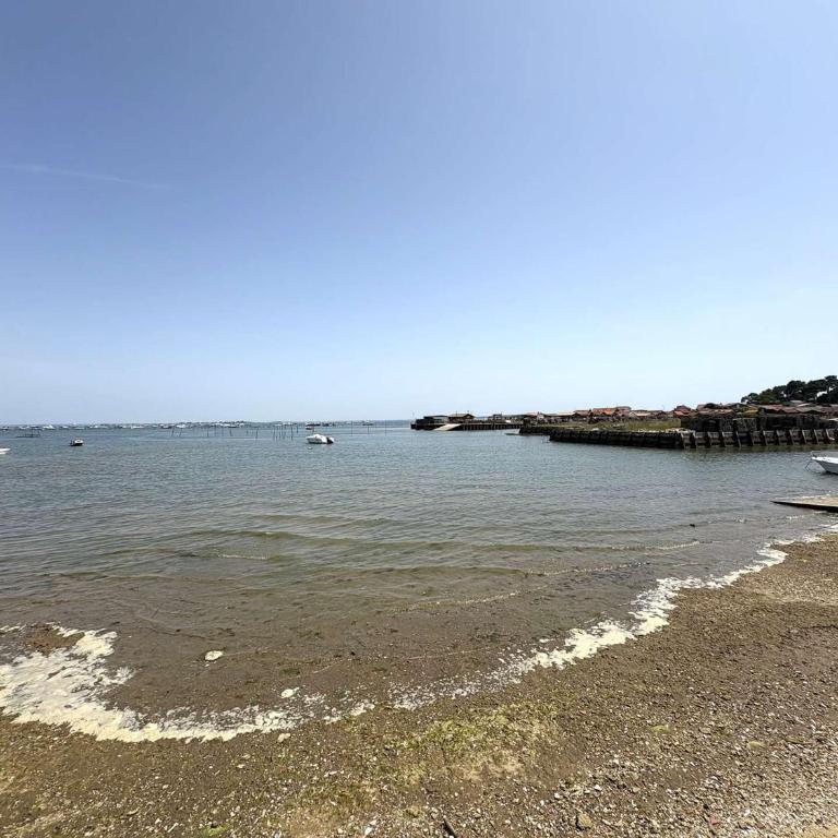 Villa moderne pour 10 pers. sans WiFi, proche Bassin d'Arcachon - FR-1-736-64 - Villa - 11