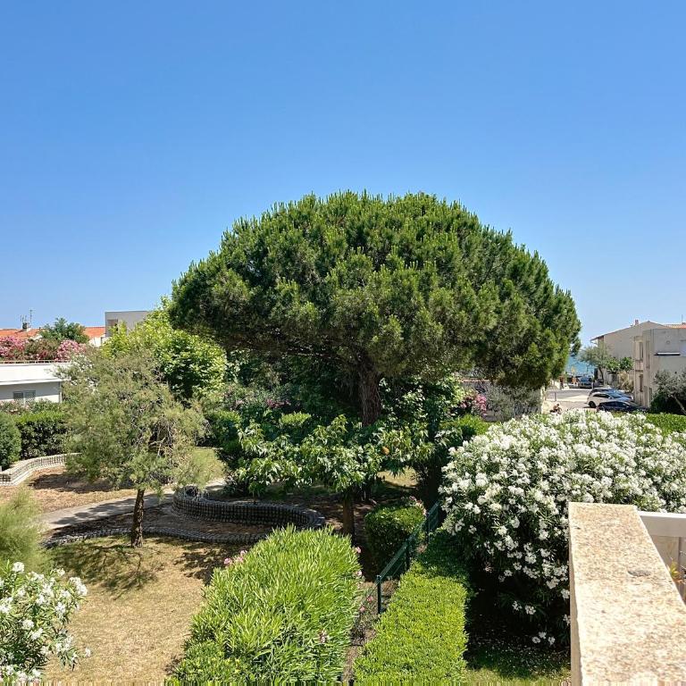 Studio lumineux 4 pers, près de la plage avec Wi-Fi - Appartement 1 Chambre - 11