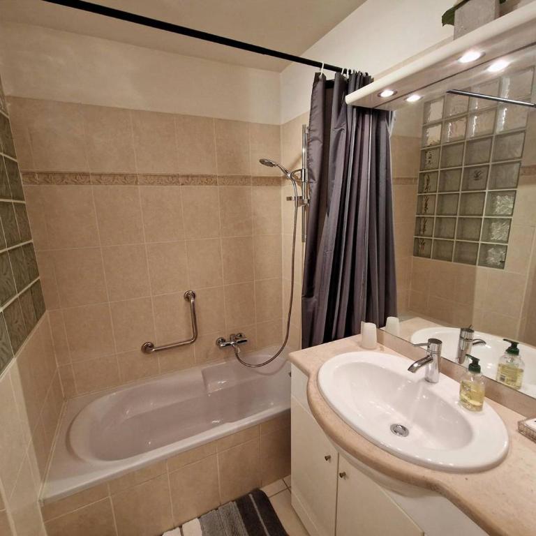 Charmant T2 avec grande terrasse en centre-ville - FR-1-100-362 - Appartement - 15