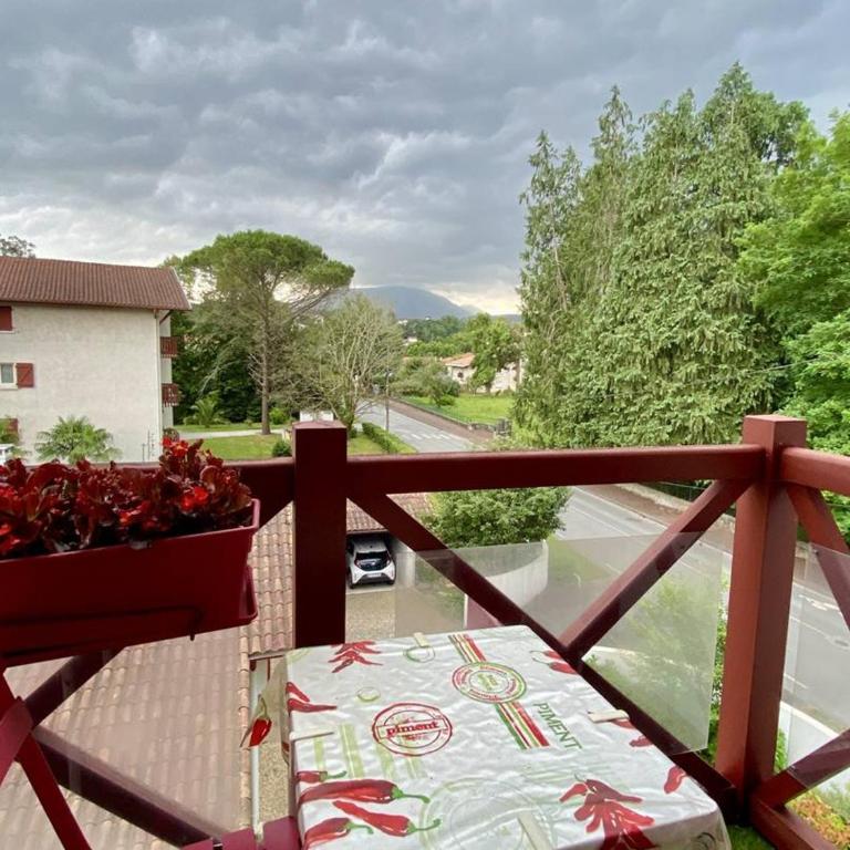 Cambo: Appartement charmant, 2 pers, parking, wifi - Appartement 1 Chambre - 16