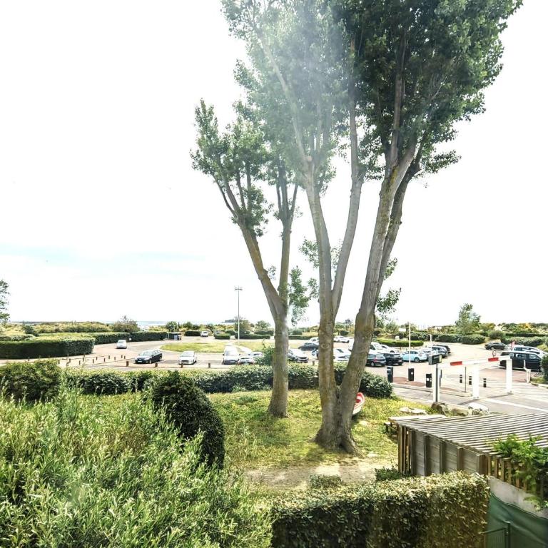 T2 au Cap d'Agde, piscine et parking, proche plage, pour 4 pers - FR-1-607-228 - Apartment - 11