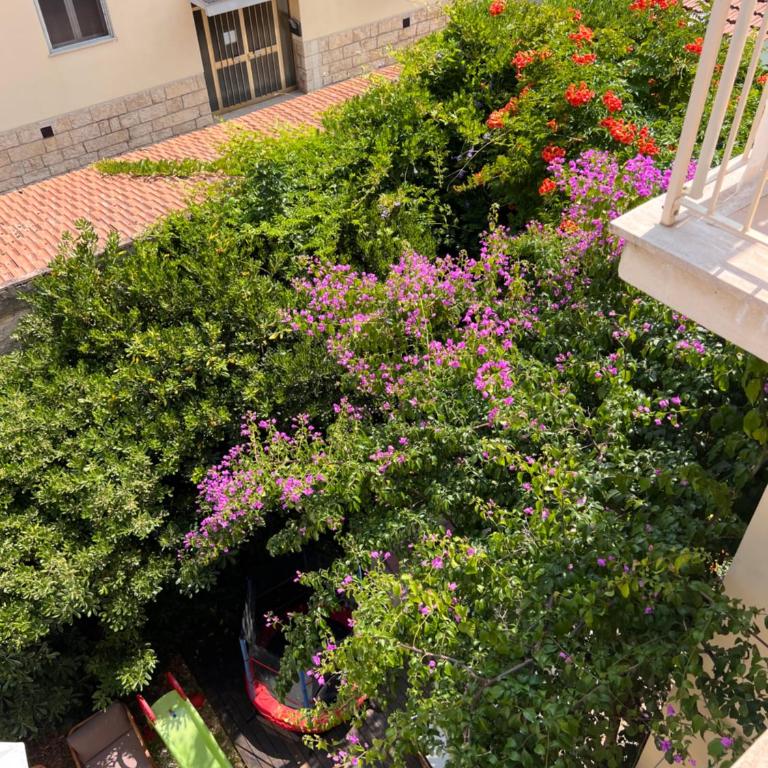 B&B Viale Italia 22 - Camera Matrimoniale con Balcone - 2
