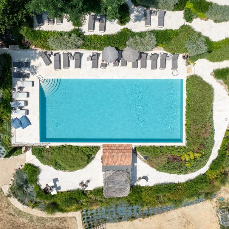 Punteriolo Family Apartment, Nice Garden, Pool, Montaione - Appartamento - 3