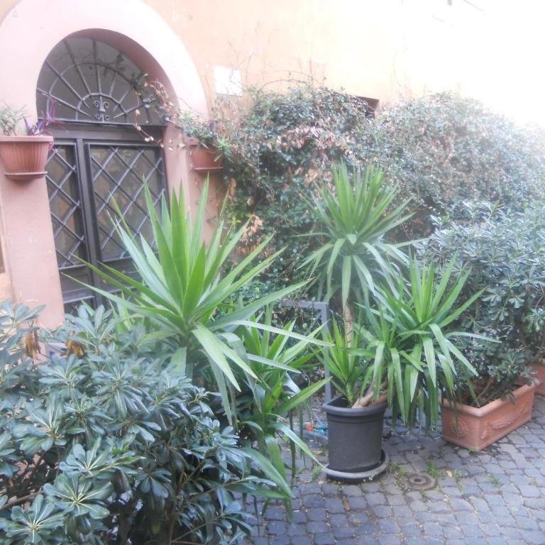 Vaticano in Love - Appartamento con 1 Camera da Letto - 9