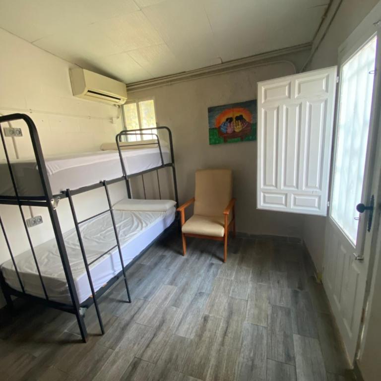 Hakuna Matata - Cama en habitación femenina compartida de 4 camas - 2