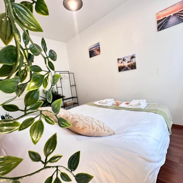 La détente de Robinson T2 agréable proche centre - Appartamento con 1 Camera da Letto - 4