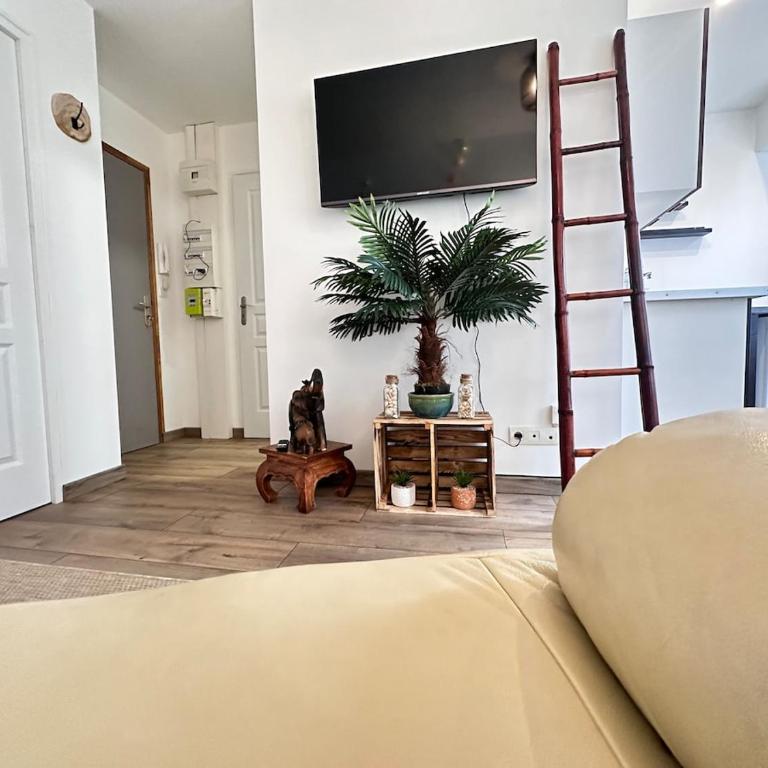 La détente de Robinson T2 agréable proche centre - Appartamento con 1 Camera da Letto - 21