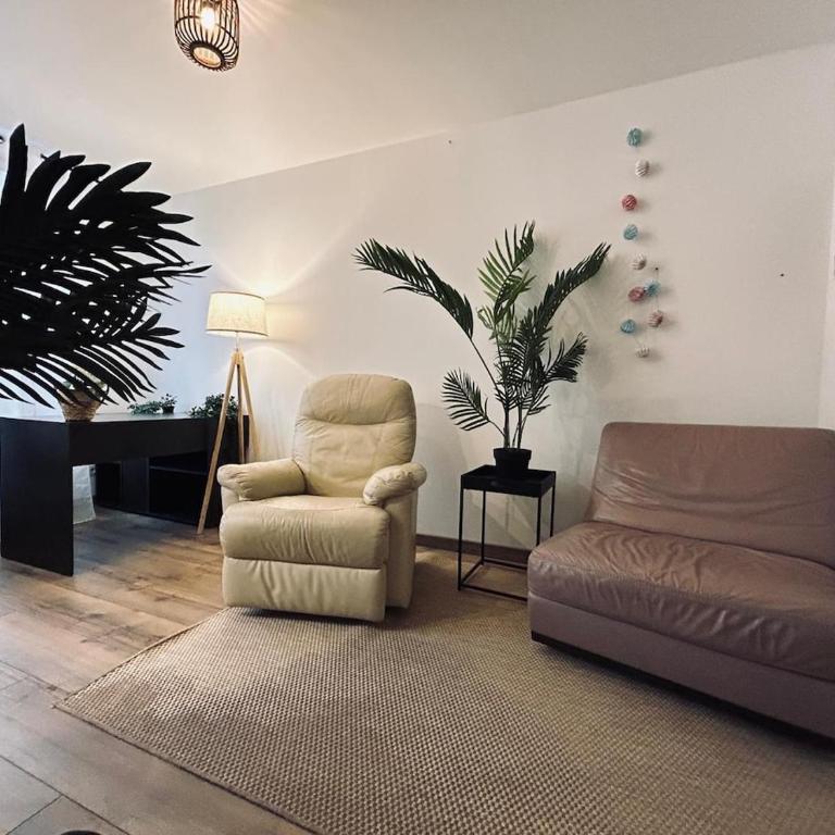 La détente de Robinson T2 agréable proche centre - Appartamento con 1 Camera da Letto - 26