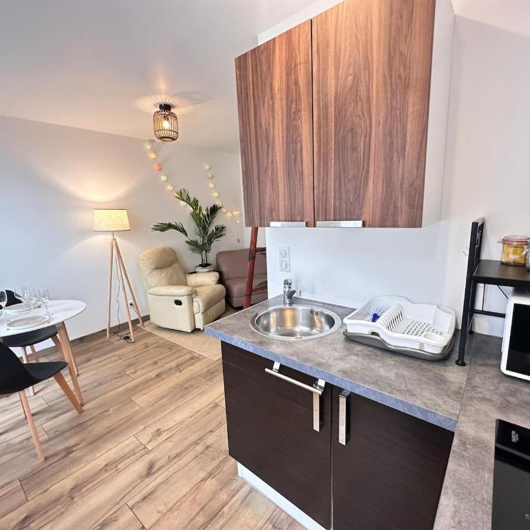 La détente de Robinson T2 agréable proche centre - Appartamento con 1 Camera da Letto - 27