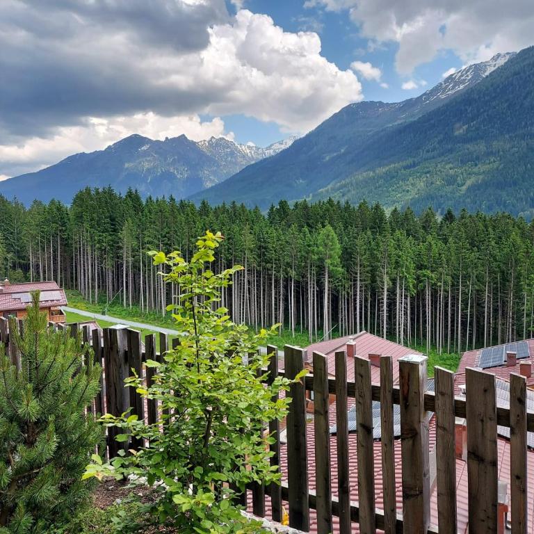 Nationalpark Chalet Glockhaus - Casa Vacanze - 17