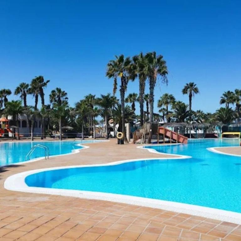 Oasis Dunas Raices del Mar Paraíso Único - Apartamento Deluxe de 1 dormitorio con vistas al jardín - 2