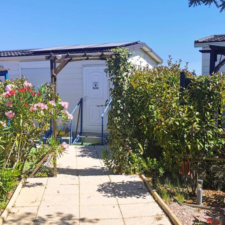 Cathares Holidays - Mobile Home - 8