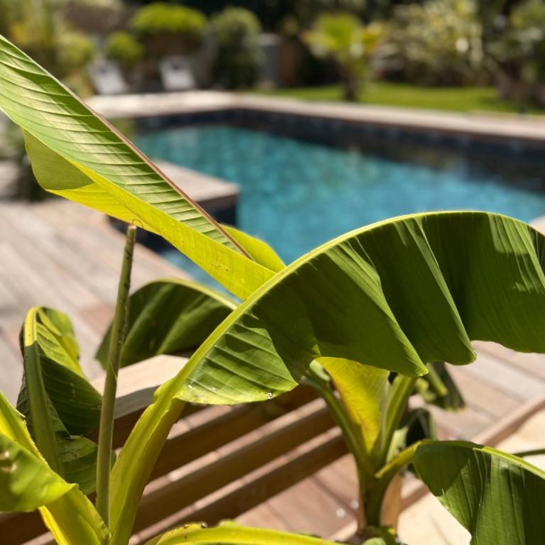VILLA EVE Bord de plage spa piscine roof top - Villa mit privatem Pool - 19