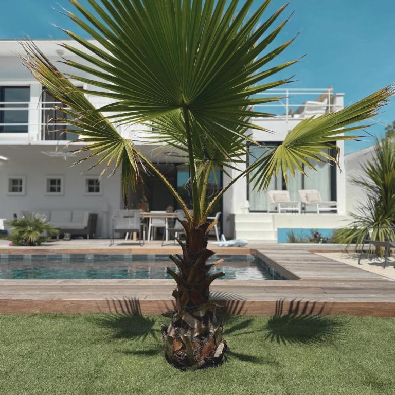 VILLA EVE Bord de plage spa piscine roof top - Villa mit privatem Pool - 17