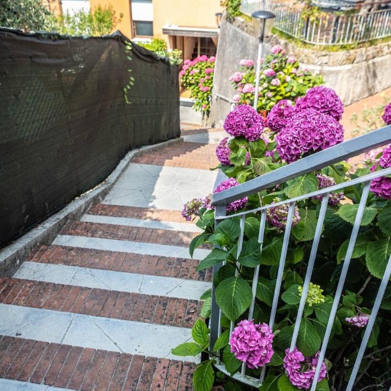 Il Poggetto Giardino Terrazza Piscina - Appartamento con 2 Camere da Letto - 3