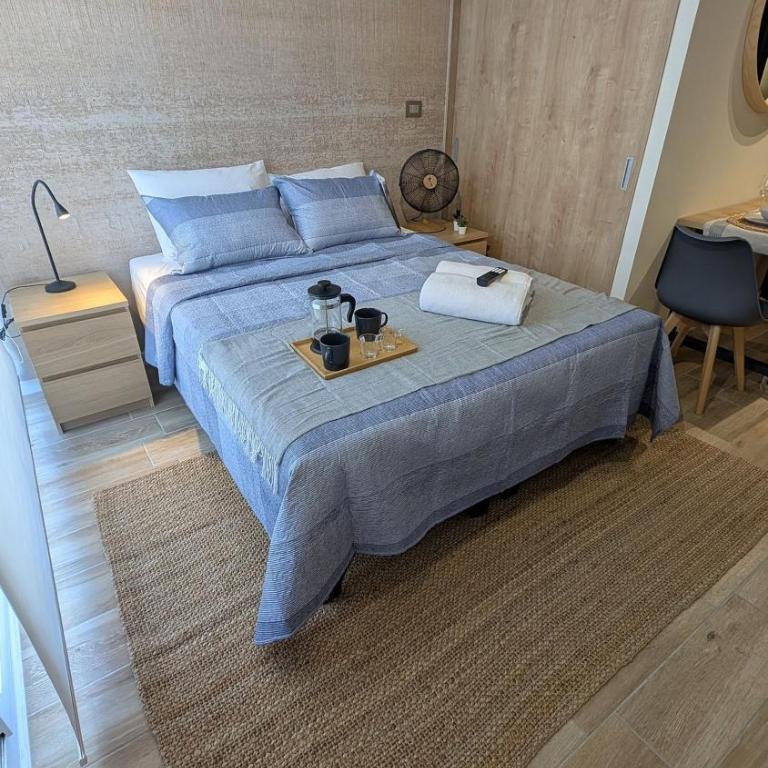 Parque Curico Suites - Deluxe Apartment - 6