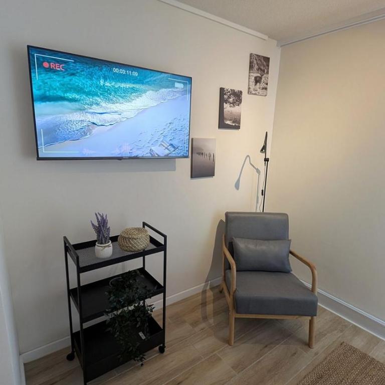 Parque Curico Suites - Deluxe Apartment - 11