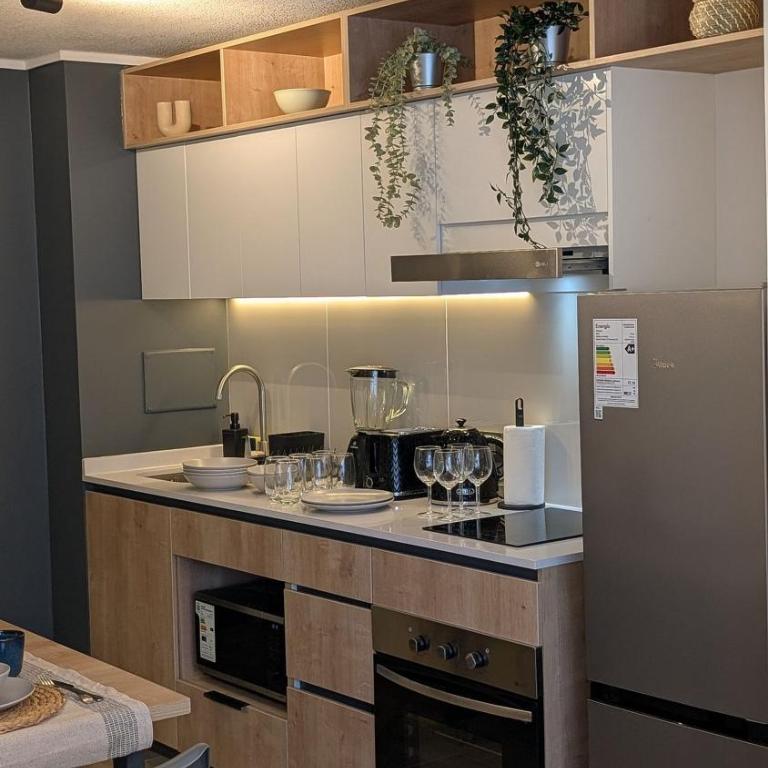 Parque Curico Suites - Deluxe Apartment - 19