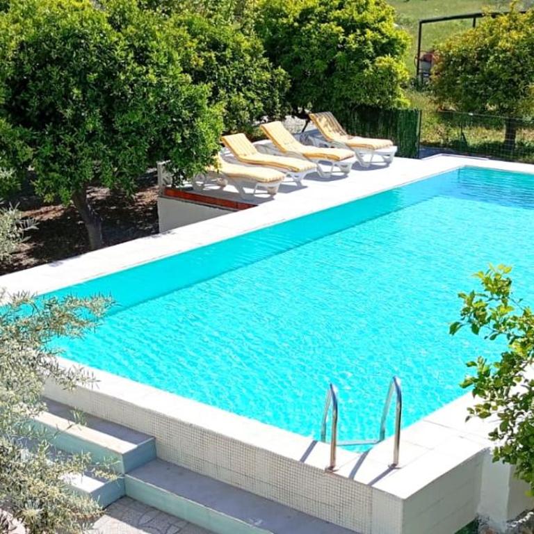 Finca el Aulagar 1 - Two-Bedroom House - 2