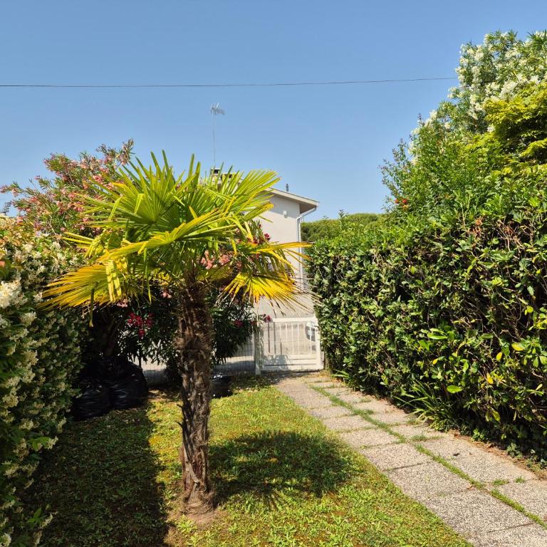 Villa Sandra - Casa con 2 Camere da Letto - 1