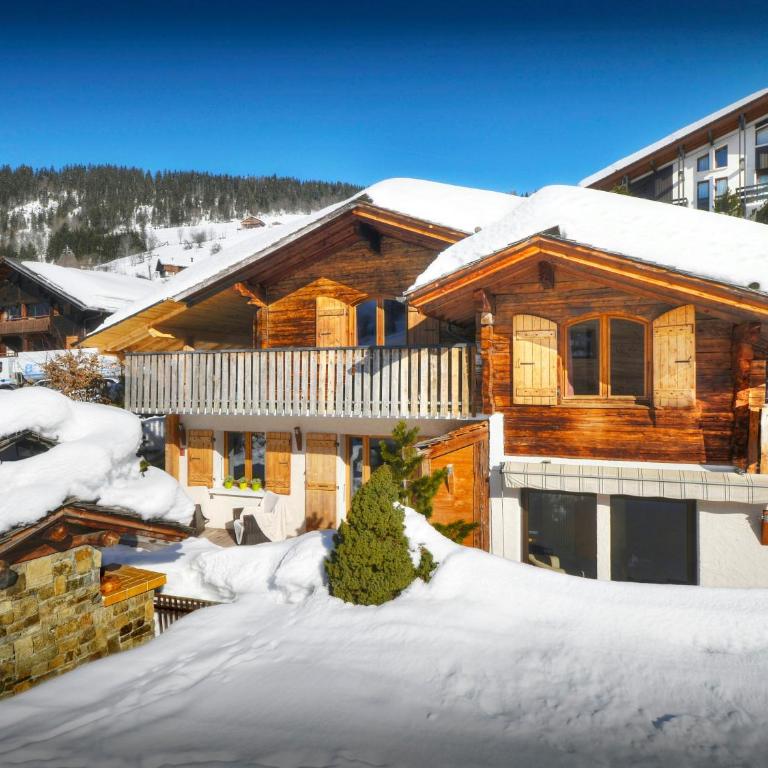 Chalet Le Petit Mazot - OVO Network - Chalet mit 2 Schlafzimmern - 1