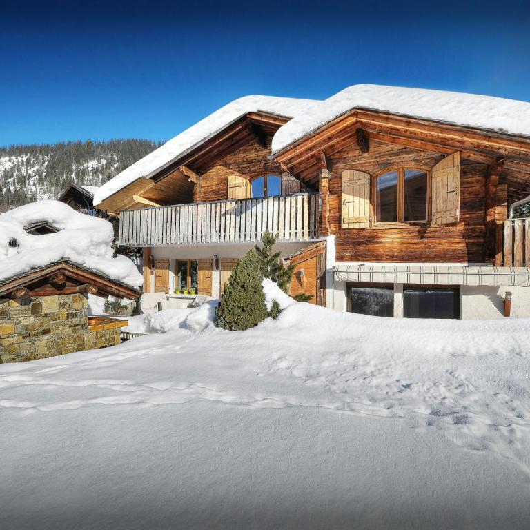 Chalet Le Petit Mazot - OVO Network - Chalet mit 2 Schlafzimmern - 17