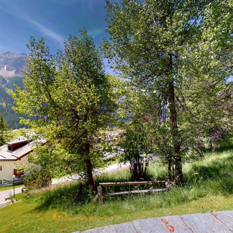 Abitaziun Davous Crasta- Zuoz - Apartment mit Blick auf die Berge - 39