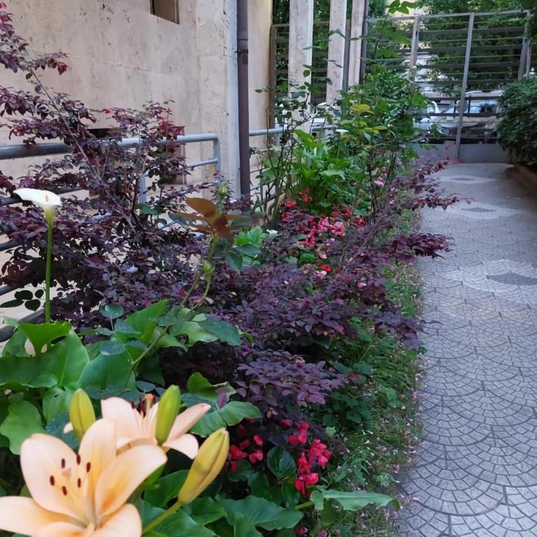 Rosy Apartment Rome - Apartment mit 1 Schlafzimmer - 23