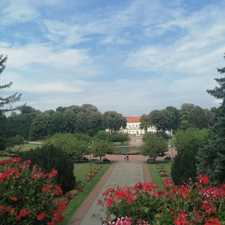 Apartman Harmony 5 - Apartman sa 1 Spavaćom Sobom - 17