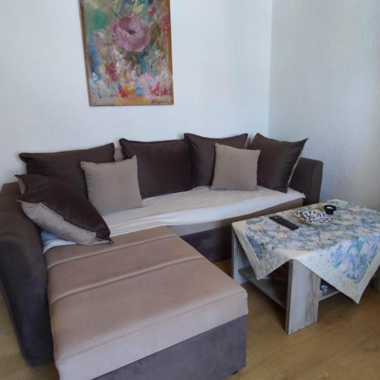Apartmani Mira Stijepovic - One-Bedroom Apartment - 12