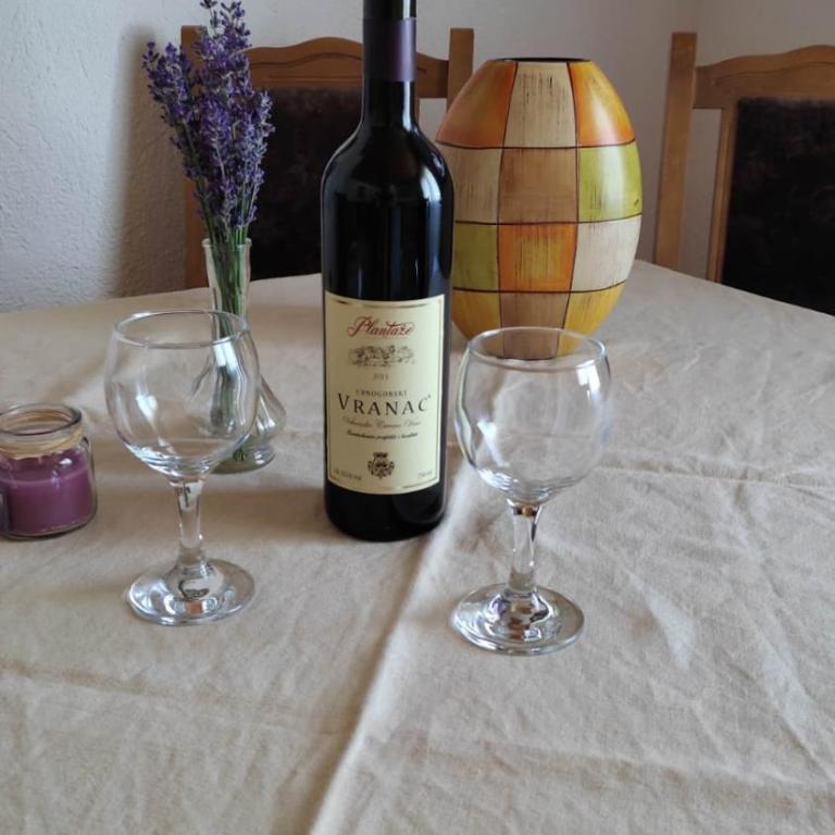 Apartmani Mira Stijepovic - One-Bedroom Apartment - 6