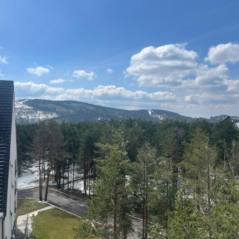 Apartman KaTija Divčibare preko puta hotel Crni Vrh - One-Bedroom Apartment with Balcony - 20