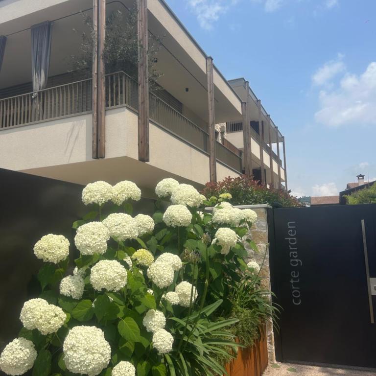 Casa Gelsomino - One-Bedroom Apartment - 2