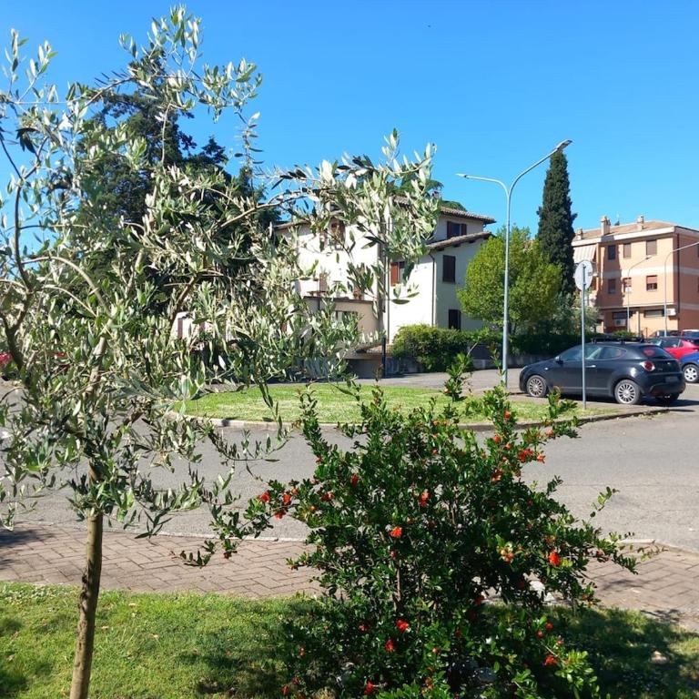 Appartamento Dolce Sguardo su Orvieto - Appartamento con 1 Camera da Letto - 18