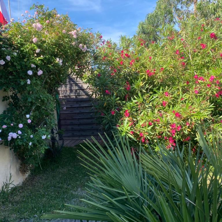 Maison de charme LE BACIO - Villa - 22