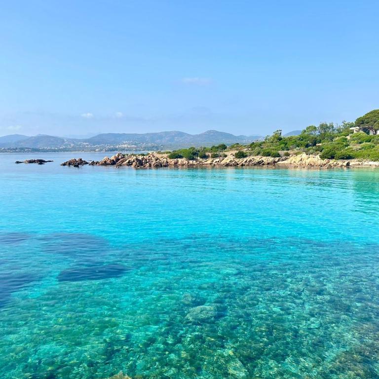 Olbia Conad 2 - Appartamento - Piano Terra - 15