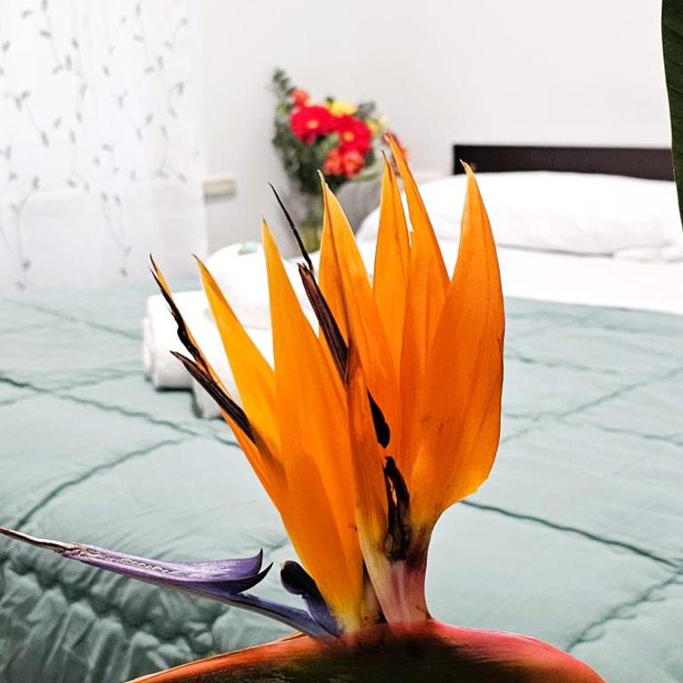 Dolce Titina Affittacamere - Kleines Doppelzimmer - 5