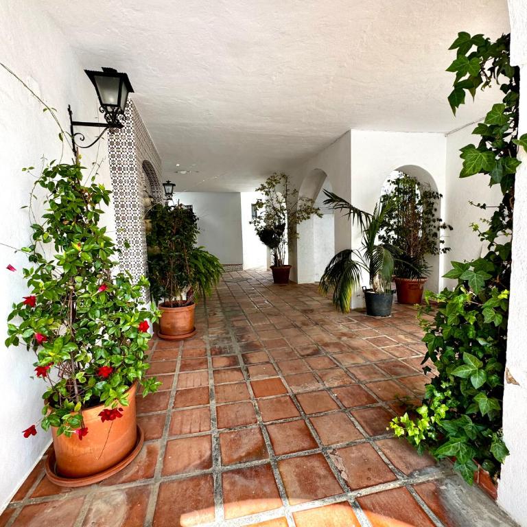 Bajamar 24 - Apartamento de 2 dormitorios - 8