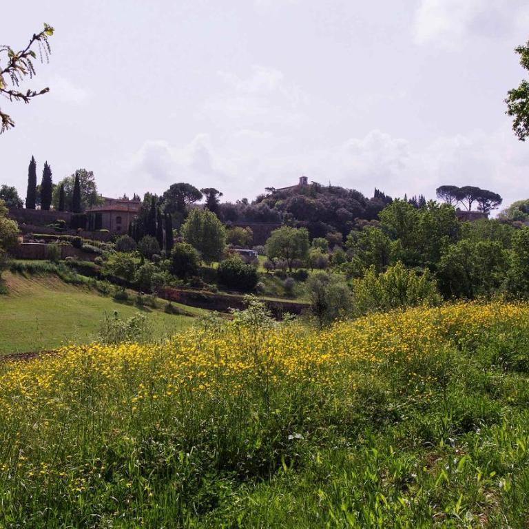 Charming Tuscan Tower with Private Pool - Vacation Home - 32