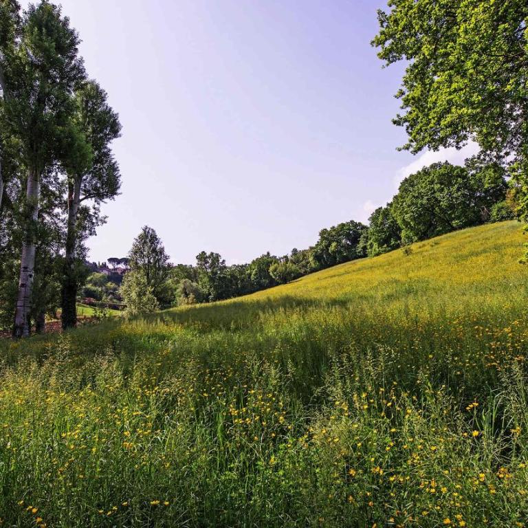 Charming Tuscan Tower with Private Pool - Vacation Home - 33