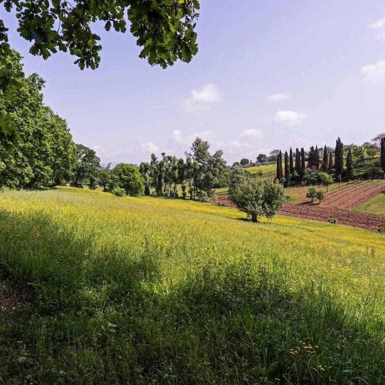 Charming Tuscan Tower with Private Pool - Vacation Home - 29