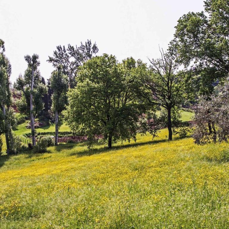 Charming Tuscan Tower with Private Pool - Vacation Home - 31