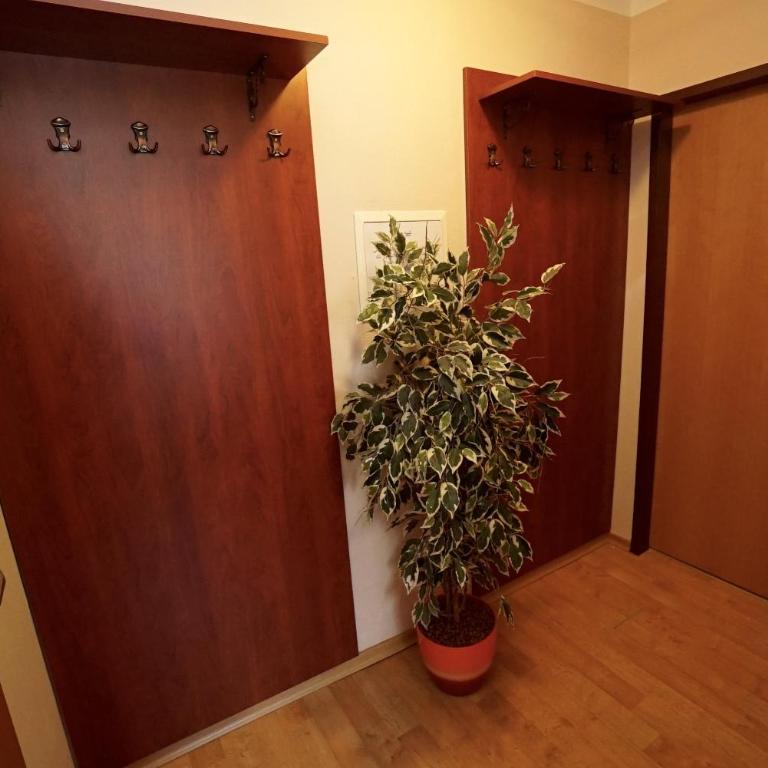 Appartement Alpensee - Apartment mit 2 Schlafzimmern - 8